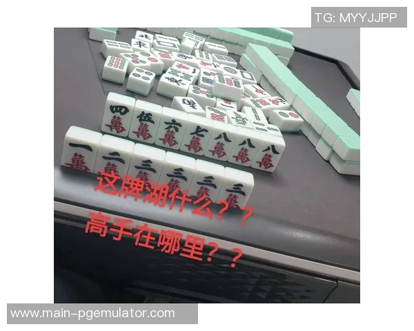 打麻将胡了是啥意思-麻将桌上的胜利—胡牌的意义与解读-打麻将胡了是啥意思